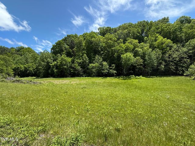 7045 Lone Star Road, Kingsport, TN 37660