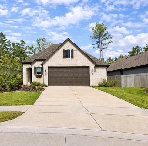 15907 Golden Trails Court, Conroe, TX 77302