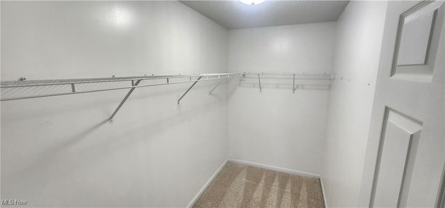 23004 Chandlers Lane 109, Olmsted Falls, OH 44138