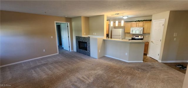 23004 Chandlers Lane 109, Olmsted Falls, OH 44138