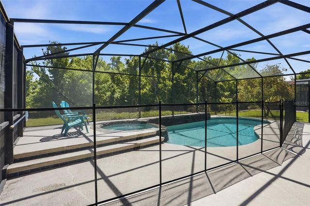 1432 BROOKHAVEN COURT, Davenport, FL 33837