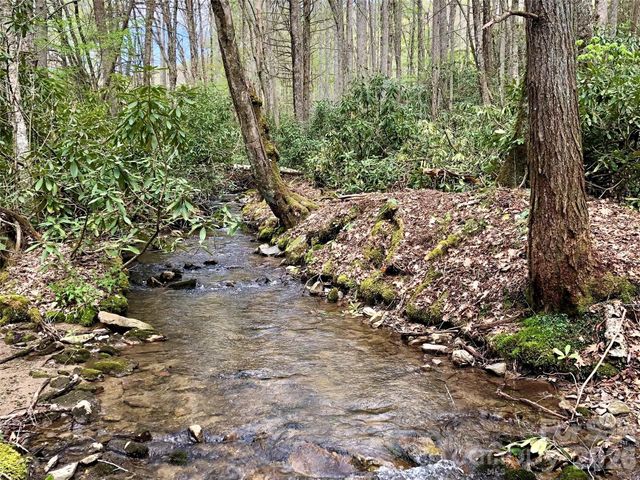 2811 Poplar Creek Road, Green Mountain, NC 28740