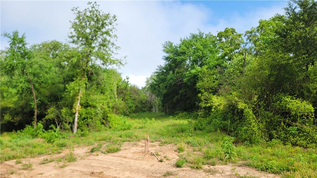 Lot 29 High Meadow Trail, Franklin, TX 77856 — photo 3