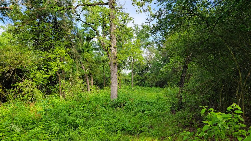 Lot 29 High Meadow Trail, Franklin, TX 77856 — photo 5