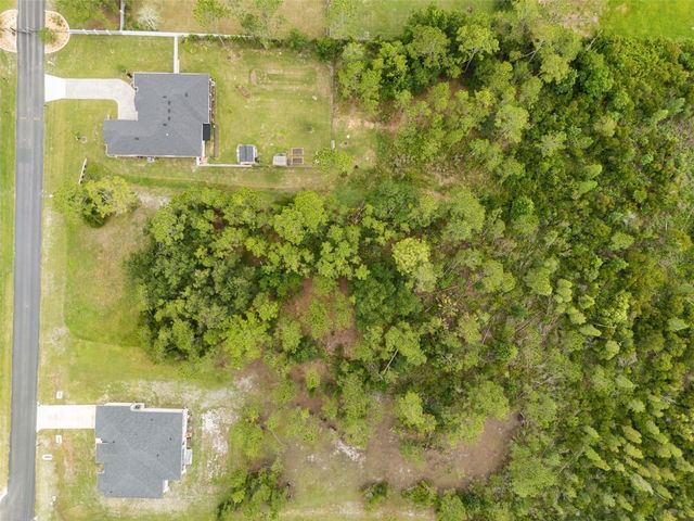 8017 WOODLEAF BOULEVARD, Wesley Chapel, FL 33544