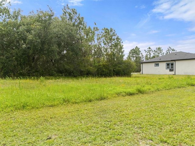 8017 WOODLEAF BOULEVARD, Wesley Chapel, FL 33544