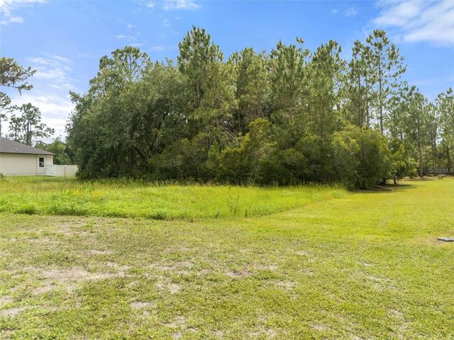 8017 WOODLEAF BOULEVARD, Wesley Chapel, FL 33544