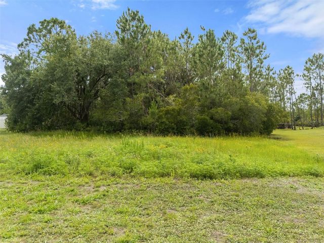 8017 WOODLEAF BOULEVARD, Wesley Chapel, FL 33544