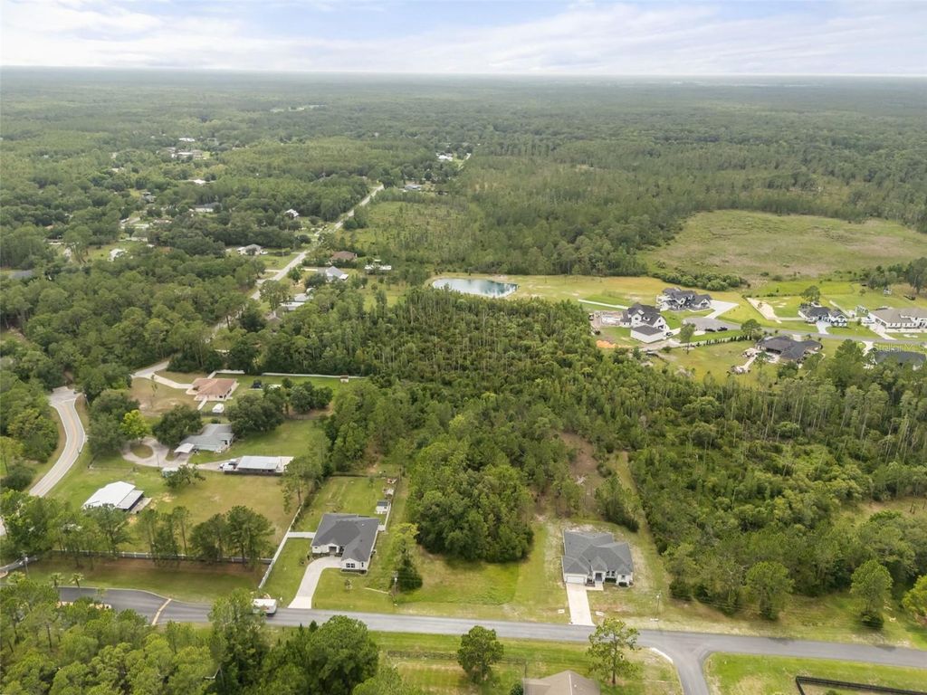 8017 WOODLEAF BOULEVARD, Wesley Chapel, FL 33544