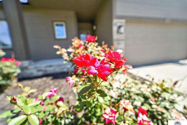 17591 Grand Avenue, Omaha, NE 68116