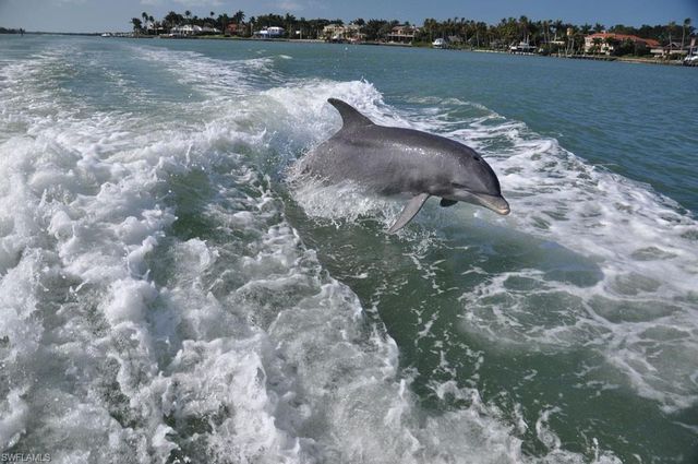 162 Newport DR 1207, Naples, FL 34114