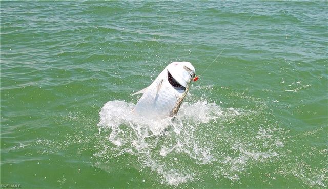 162 Newport DR 1207, Naples, FL 34114