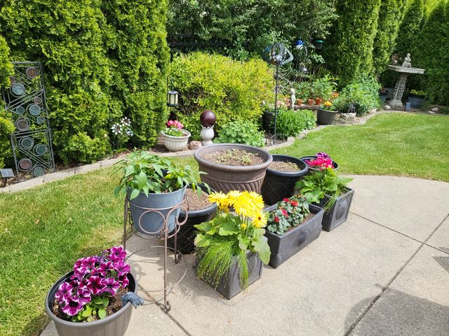 917 Tamer Lane, Glenview, IL 60025