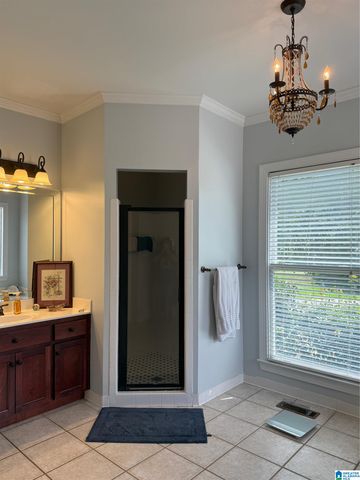 701 MILL SPRINGS LANE, Hoover, AL 35244