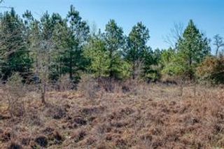 TBD Cardinal Loop LOOP, Paige, TX 78659