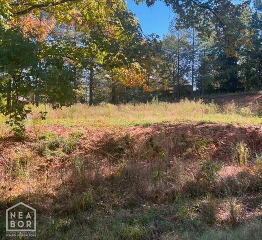 3806 S Culberhouse, Jonesboro, AR 72404