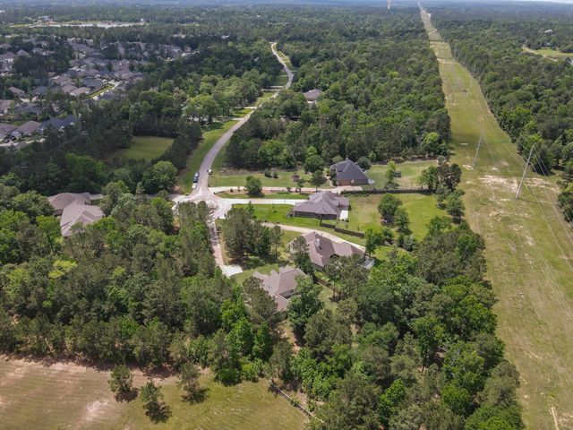 409 Ridgelake Scenic Drive, Montgomery, TX 77316