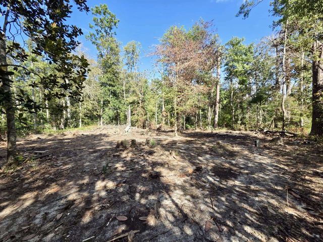 120 Darwin Place, Quincy, FL 32351