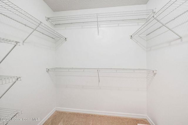 3272 Wreath Street, Melbourne, FL 32904