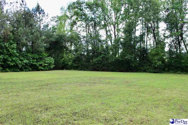 2150 Green Rd, Lake City, SC 29560