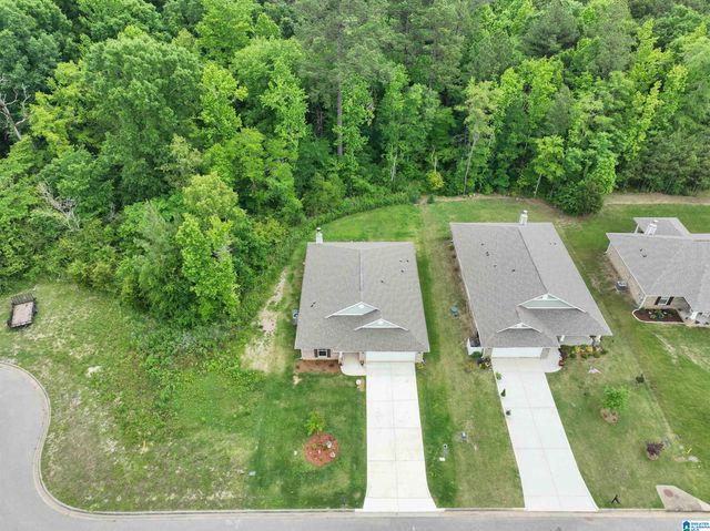 148 PURE LEAF DRIVE, Wilsonville, AL 35186