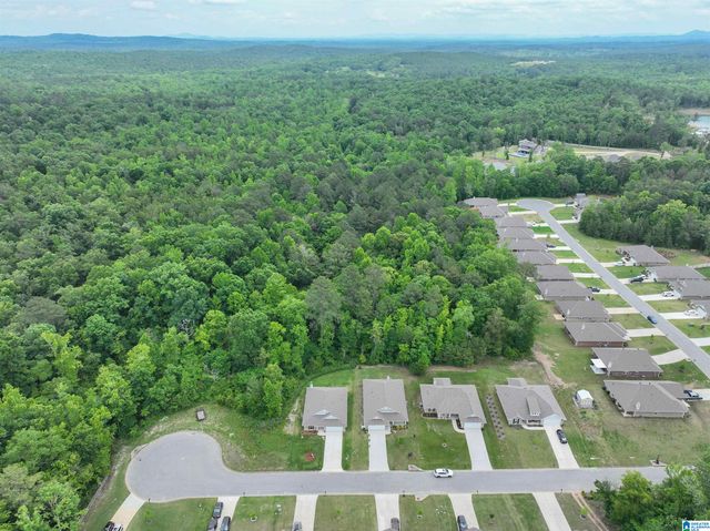 148 PURE LEAF DRIVE, Wilsonville, AL 35186
