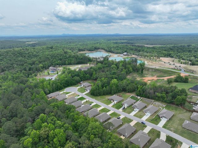 148 PURE LEAF DRIVE, Wilsonville, AL 35186
