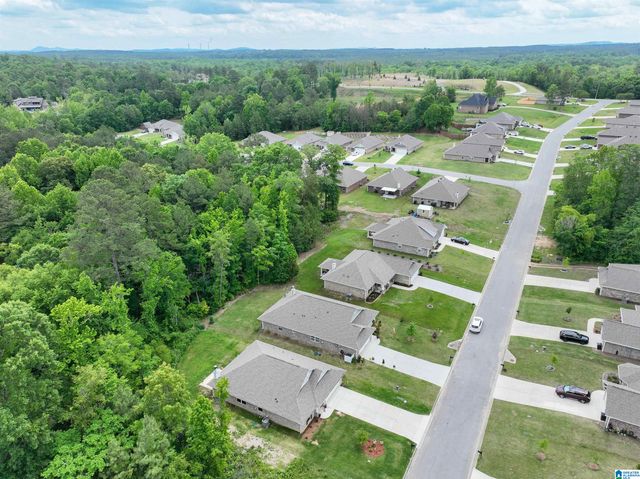 148 PURE LEAF DRIVE, Wilsonville, AL 35186