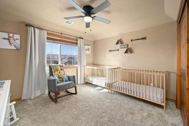 781 Moores Diamond Drive, Fruita, CO 81521