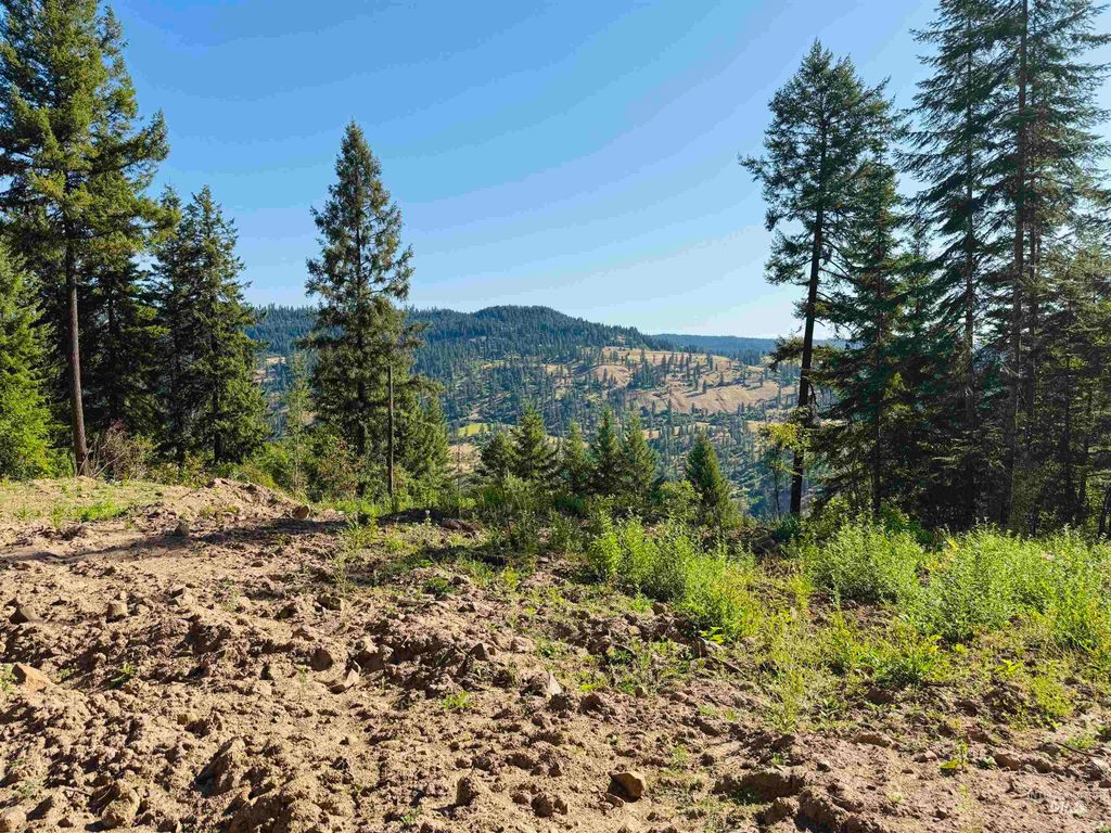 1684 Tranquil Lane, Orofino, ID 83544