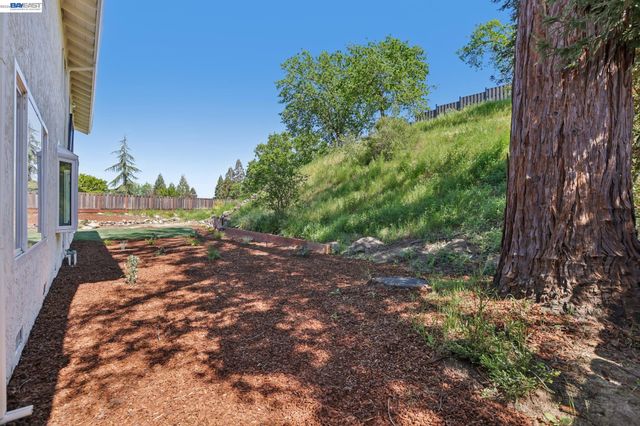 44 Lariat Ct, Walnut Creek, CA 94596