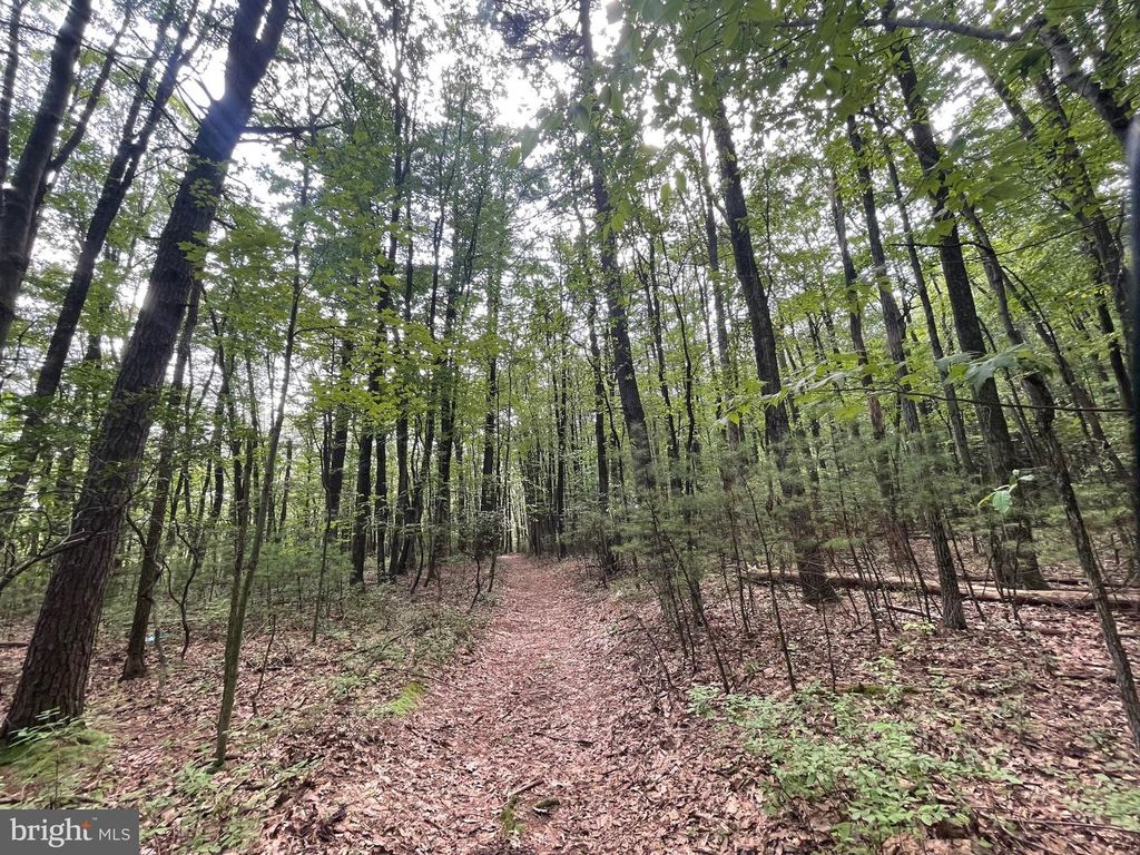 0 LONG RUN RD, Pine Grove, PA 17963