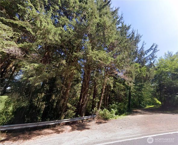 0 Roosevelt Beach, Pacific Beach, WA 98571