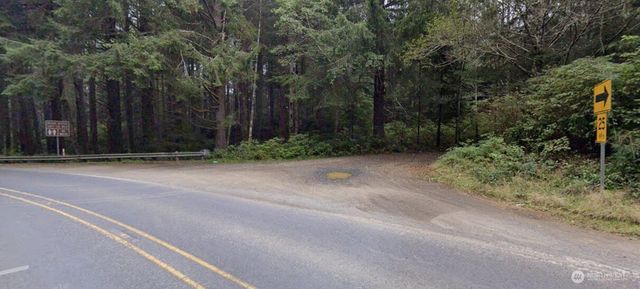 0 Roosevelt Beach, Pacific Beach, WA 98571