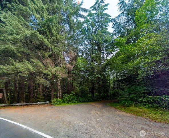 0 Roosevelt Beach, Pacific Beach, WA 98571