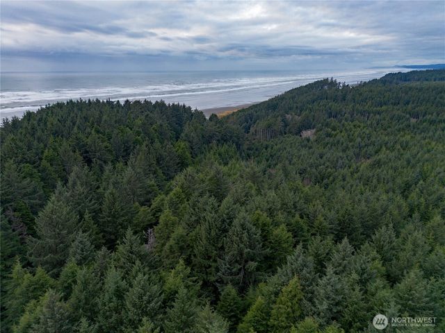 0 Roosevelt Beach, Pacific Beach, WA 98571