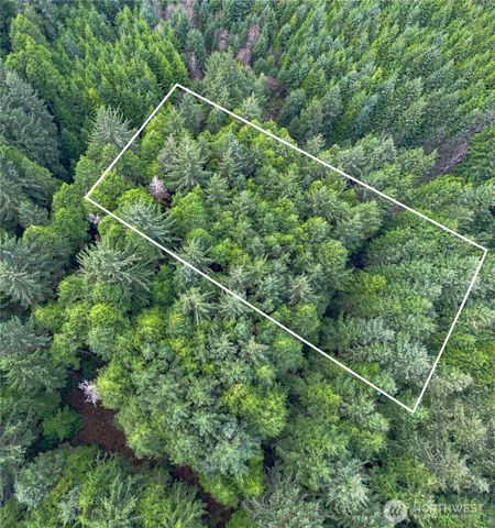 0 Roosevelt Beach, Pacific Beach, WA 98571