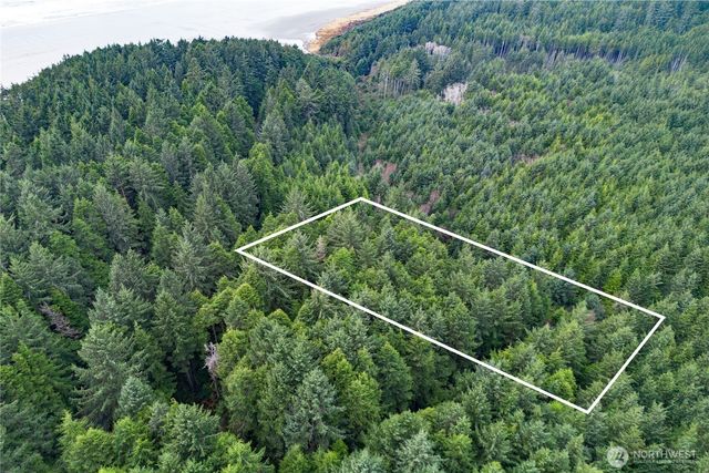 0 Roosevelt Beach, Pacific Beach, WA 98571
