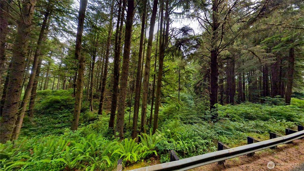 0 Roosevelt Beach, Pacific Beach, WA 98571