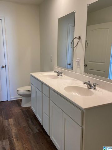 252 CHELSEA PARK CIRCLE, Chelsea, AL 35043