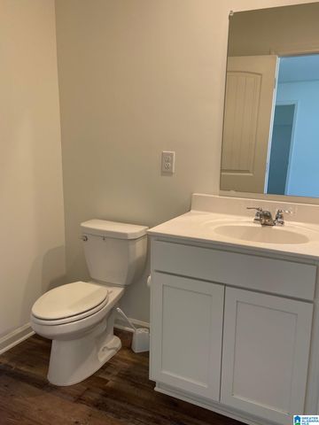 252 CHELSEA PARK CIRCLE, Chelsea, AL 35043