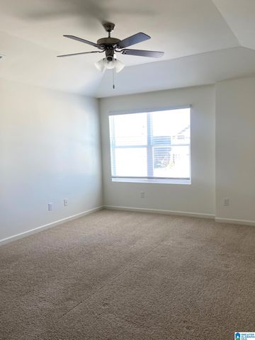 252 CHELSEA PARK CIRCLE, Chelsea, AL 35043