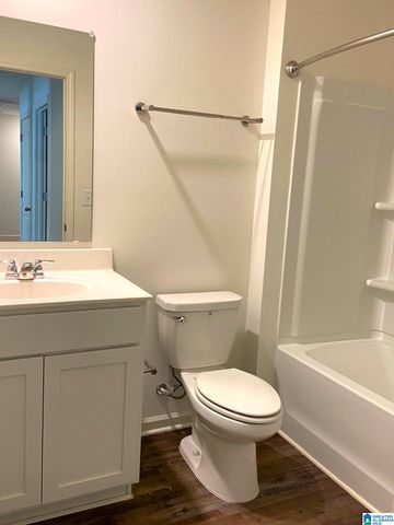 252 CHELSEA PARK CIRCLE, Chelsea, AL 35043