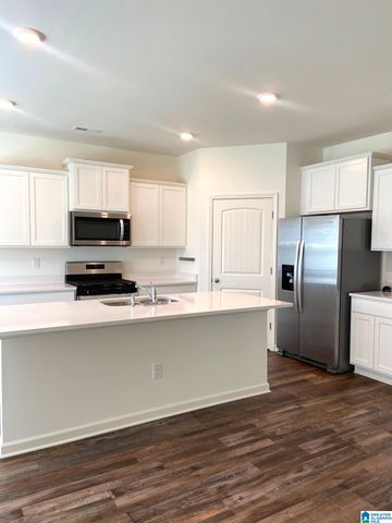 252 CHELSEA PARK CIRCLE, Chelsea, AL 35043