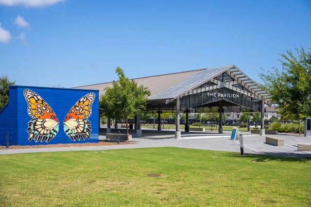 104 Green Heron Street Lot 46, Watersound, FL 32461