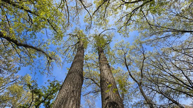 9901 S Sandusky Avenue, Tulsa, OK 74137