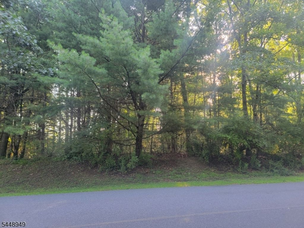 337 Wagon Wheel Rd, Montague Twp., NJ 07827 — exterior