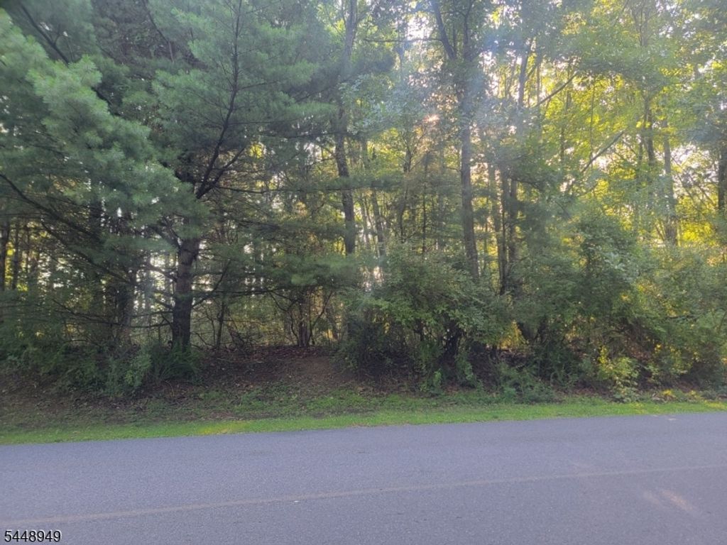 337 Wagon Wheel Rd, Montague Twp., NJ 07827 — photo 3