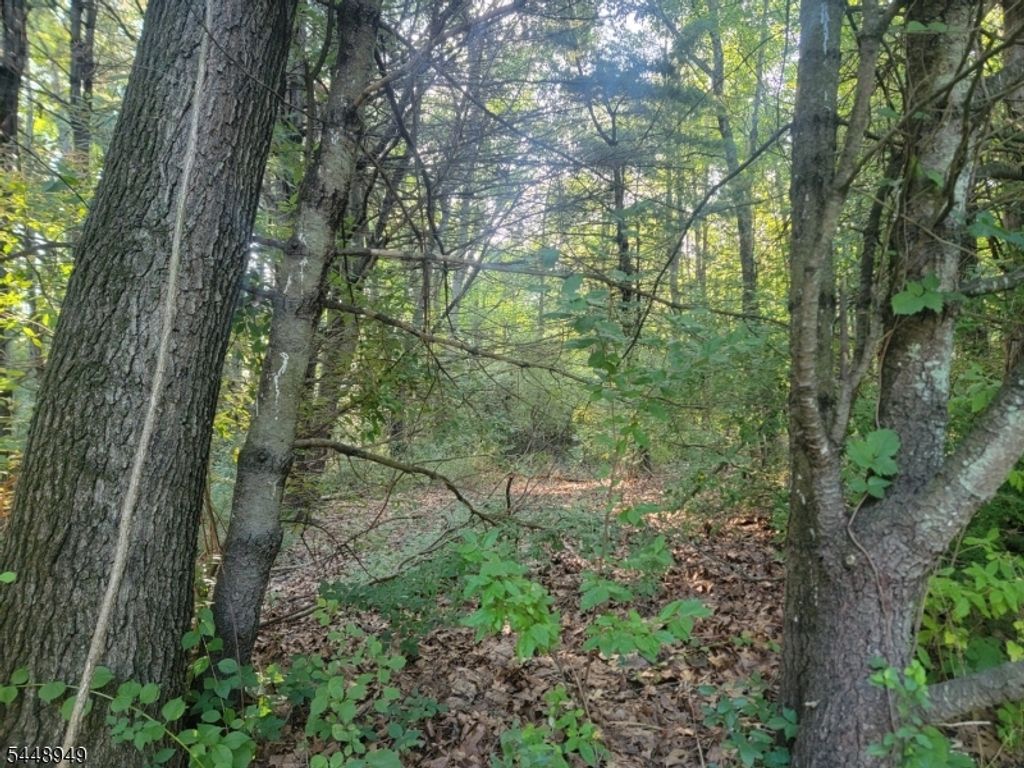 337 Wagon Wheel Rd, Montague Twp., NJ 07827 — photo 4