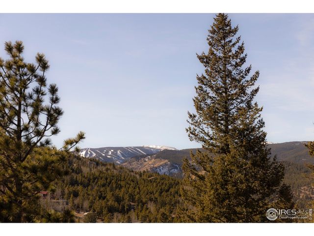 103 W Wildewood Dr, Nederland, CO 80466
